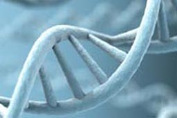 免费24小时不停呼叫软件下载